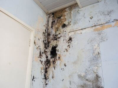 About Shattuck OK Mold Remediation Pros - mold remediation experts in Shattuck